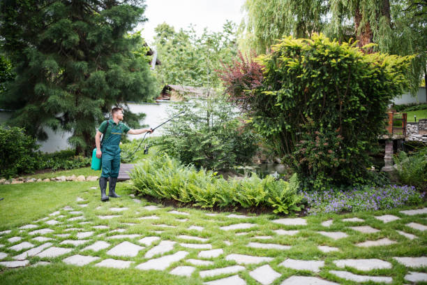 Soil Testing and Treatment in Montclair, CA